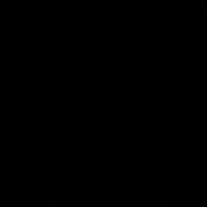 Meet your Posher, Bailey